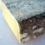 A Tomme of some kind