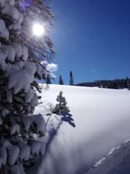 More snow