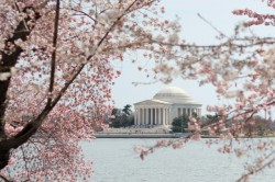 Jefferson Memorial