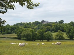 Countryside near Tannay